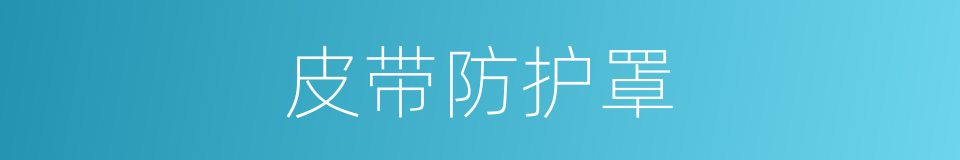 皮带防护罩的同义词