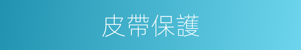 皮帶保護的同義詞