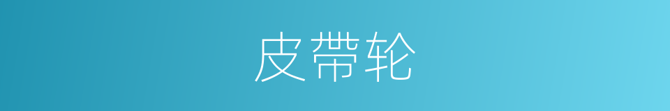 皮帶轮的同義詞