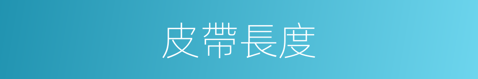 皮帶長度的同義詞