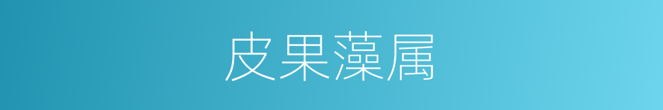 皮果藻属的同义词