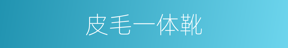 皮毛一体靴的同义词