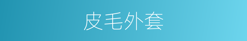 皮毛外套的同义词