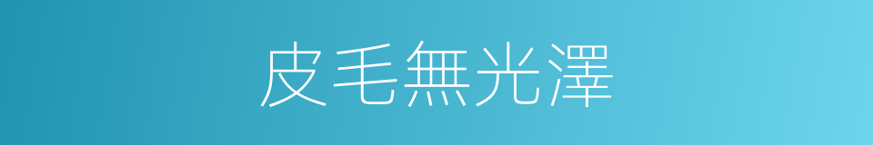 皮毛無光澤的同義詞