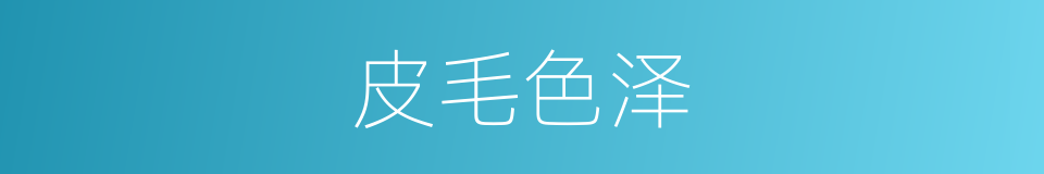 皮毛色泽的同义词