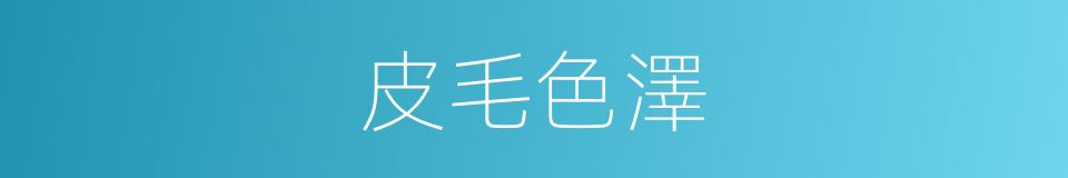 皮毛色澤的同義詞
