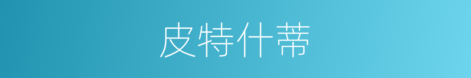 皮特什蒂的同义词