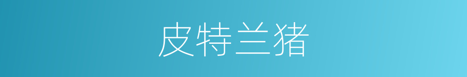 皮特兰猪的同义词