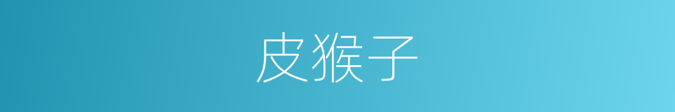 皮猴子的意思
