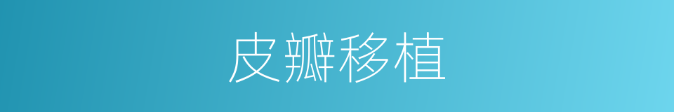 皮瓣移植的同义词