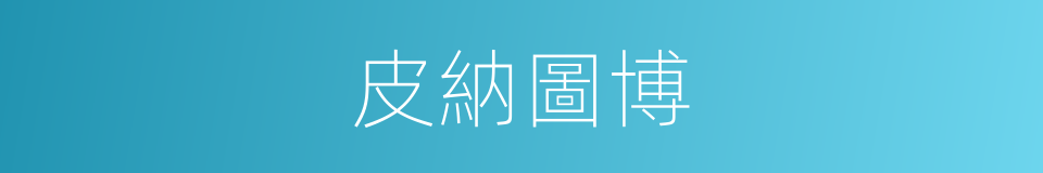 皮納圖博的同義詞