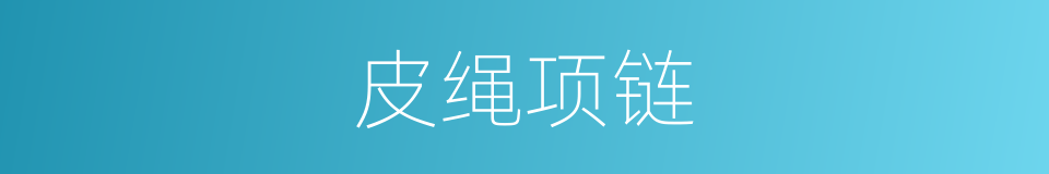 皮绳项链的同义词