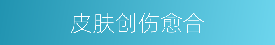 皮肤创伤愈合的同义词