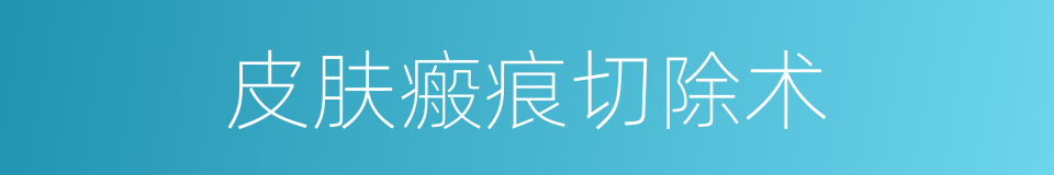 皮肤瘢痕切除术的同义词