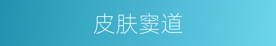 皮肤窦道的同义词