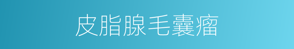 皮脂腺毛囊瘤的同义词