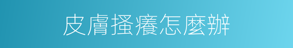 皮膚搔癢怎麼辦的同義詞