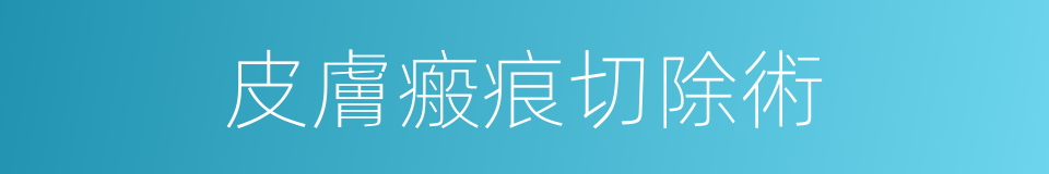 皮膚瘢痕切除術的同義詞