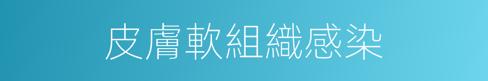 皮膚軟組織感染的同義詞