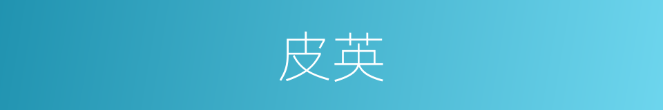 皮英的同义词