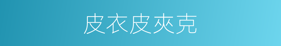 皮衣皮夾克的同義詞