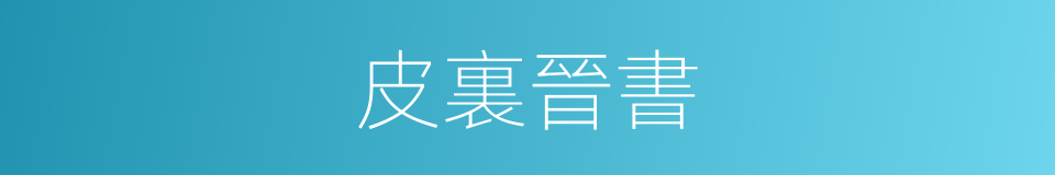 皮裏晉書的意思