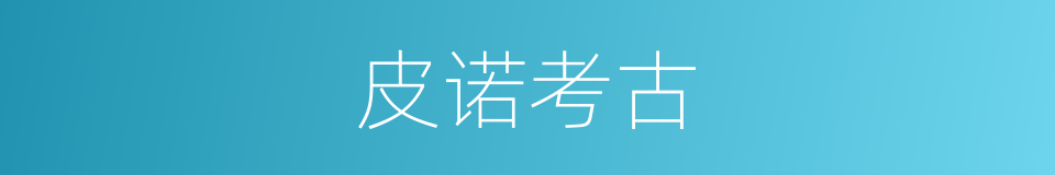 皮诺考古的同义词