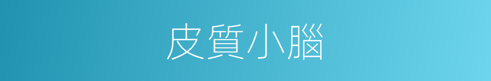 皮質小腦的同義詞
