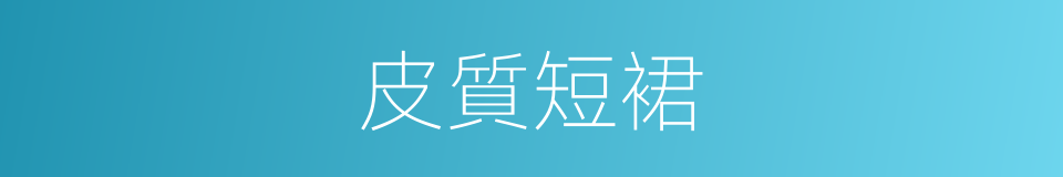 皮質短裙的同義詞