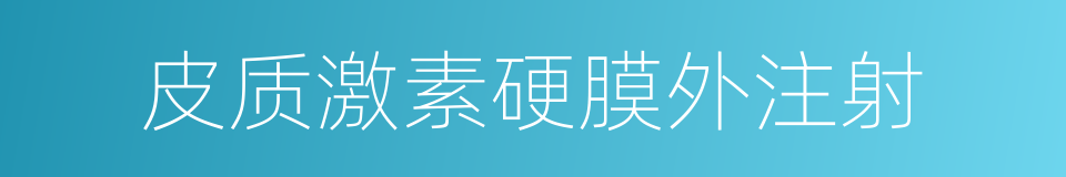 皮质激素硬膜外注射的同义词