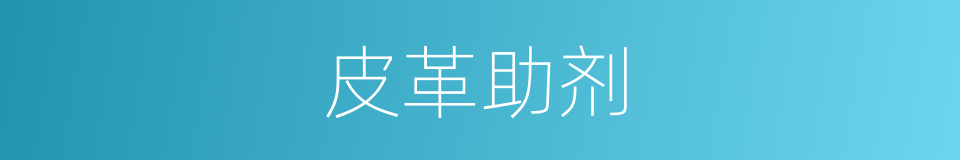 皮革助剂的同义词