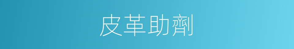 皮革助劑的同義詞