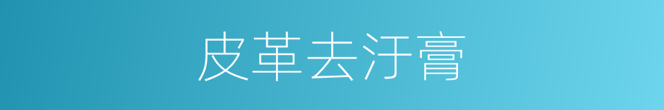 皮革去汙膏的同義詞