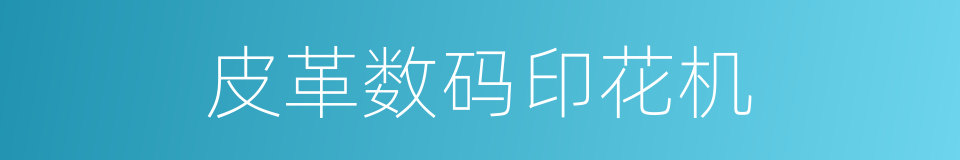皮革数码印花机的同义词