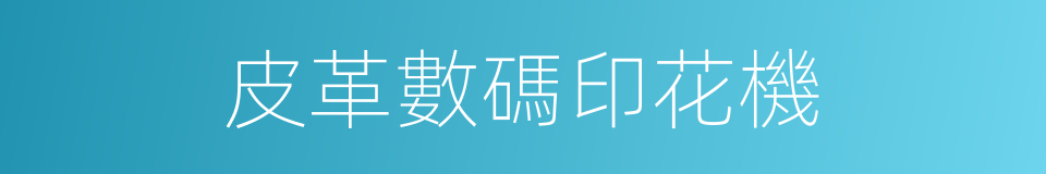 皮革數碼印花機的同義詞