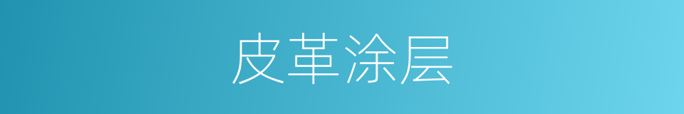 皮革涂层的同义词