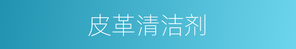 皮革清洁剂的同义词
