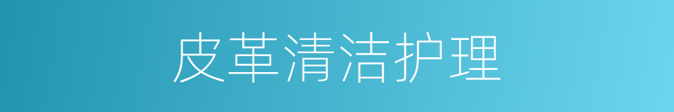 皮革清洁护理的同义词