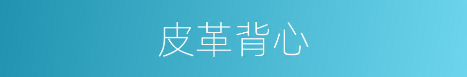 皮革背心的同义词