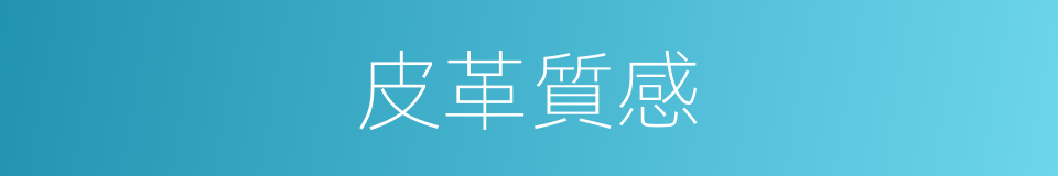 皮革質感的同義詞