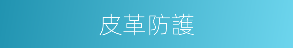 皮革防護的同義詞