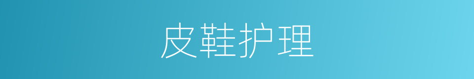 皮鞋护理的意思