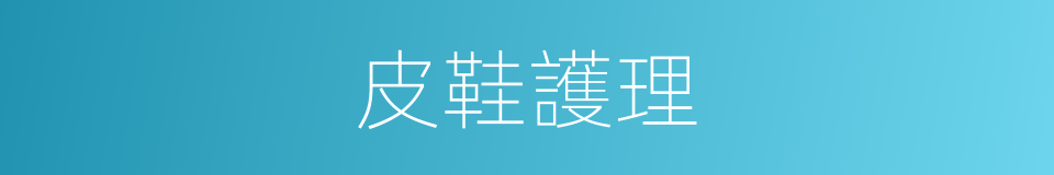 皮鞋護理的意思
