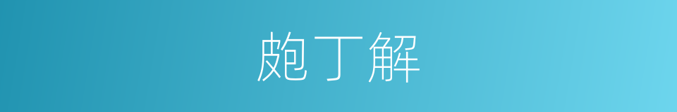 皰丁解的同義詞