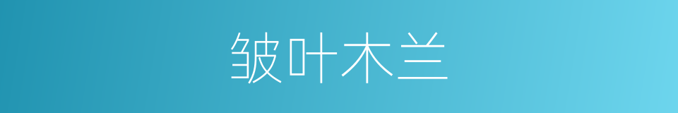 皱叶木兰的同义词