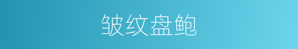 皱纹盘鲍的同义词