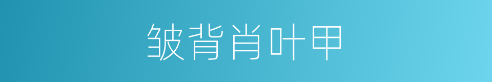 皱背肖叶甲的同义词