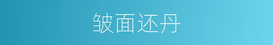 皱面还丹的意思