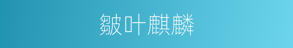 皺叶麒麟的同義詞