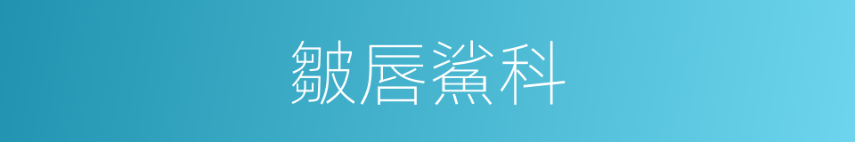 皺唇鯊科的同義詞